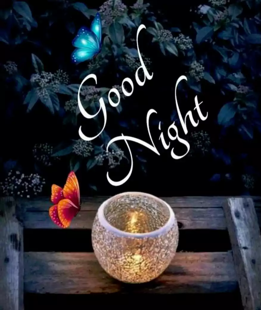 Good Night Shayari in English 2021 | Top 10 Good Night Shayari